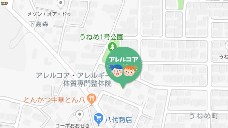 アレルコア地図 アレルコア地図